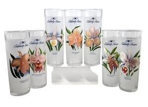 Vintage Celebrity Cruises Frosted Highball Glasses Orchid Drink Recipe Set of 7